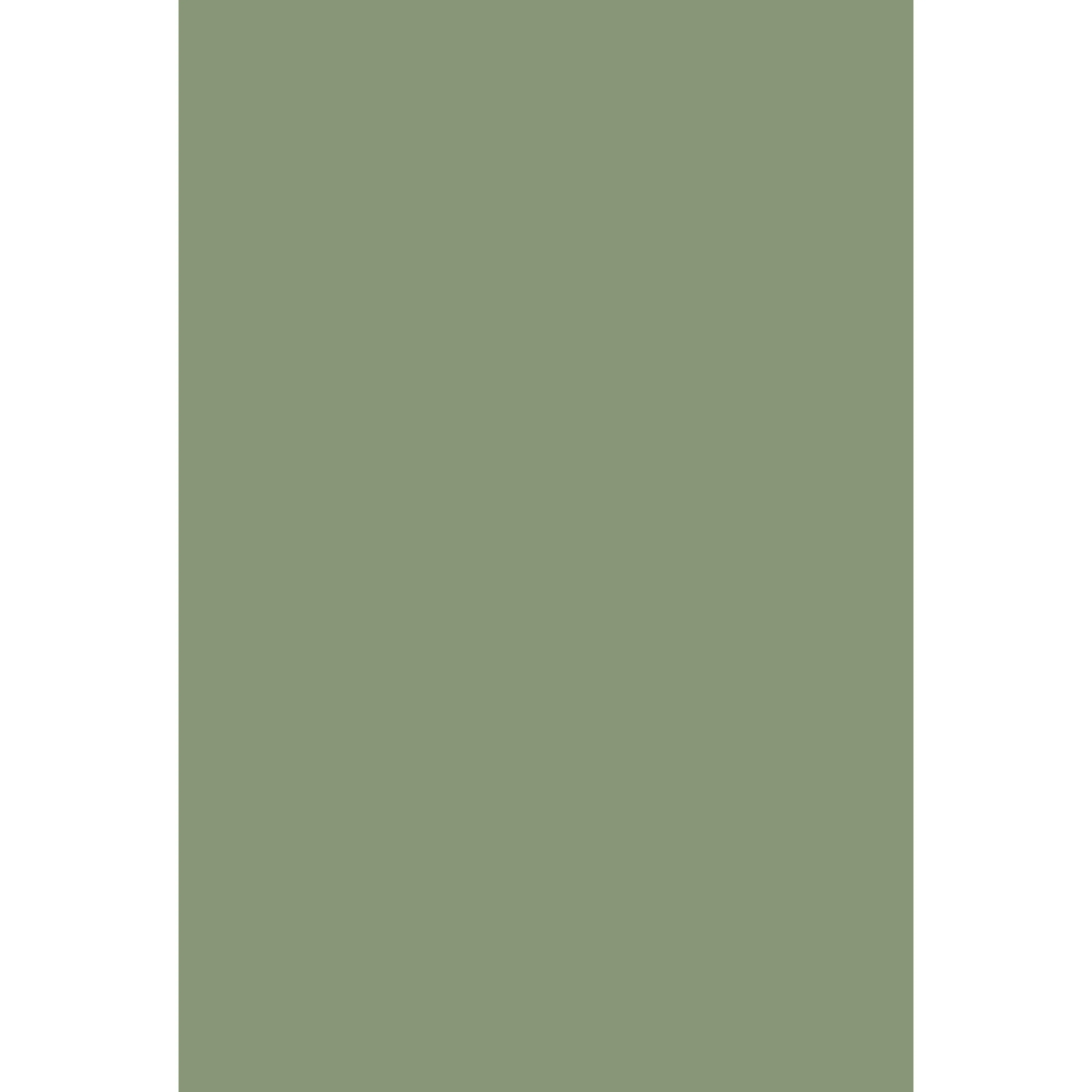 Sutcliffe Green No. 78 peinture Farrow & Ball - Image 2