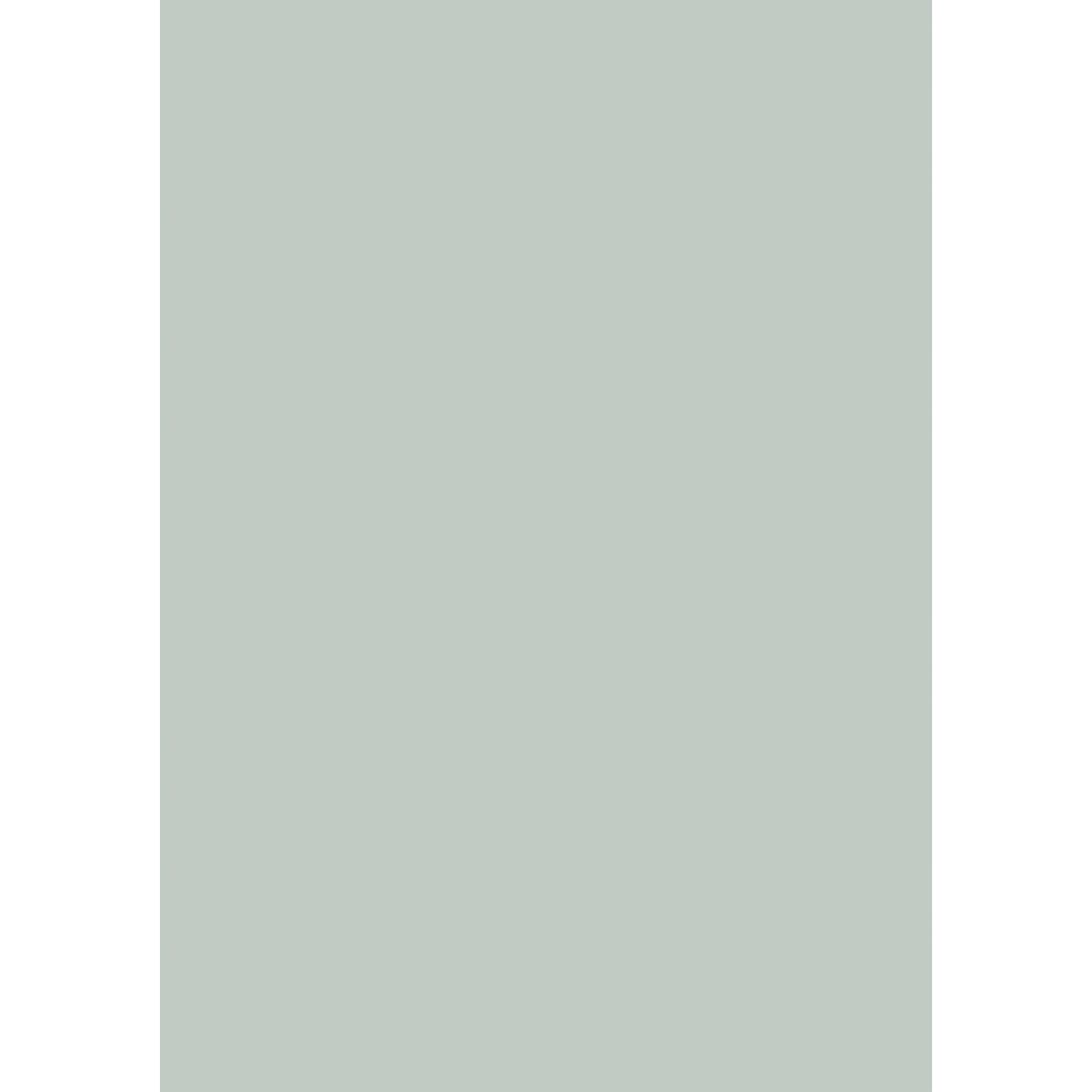 Teresa's Green No. 236 peinture Farrow & Ball - Image 3