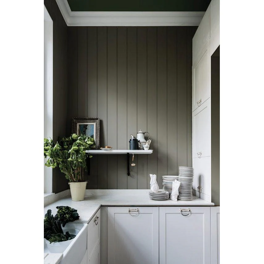 Treron No. 292 peinture Farrow & Ball - Image 2