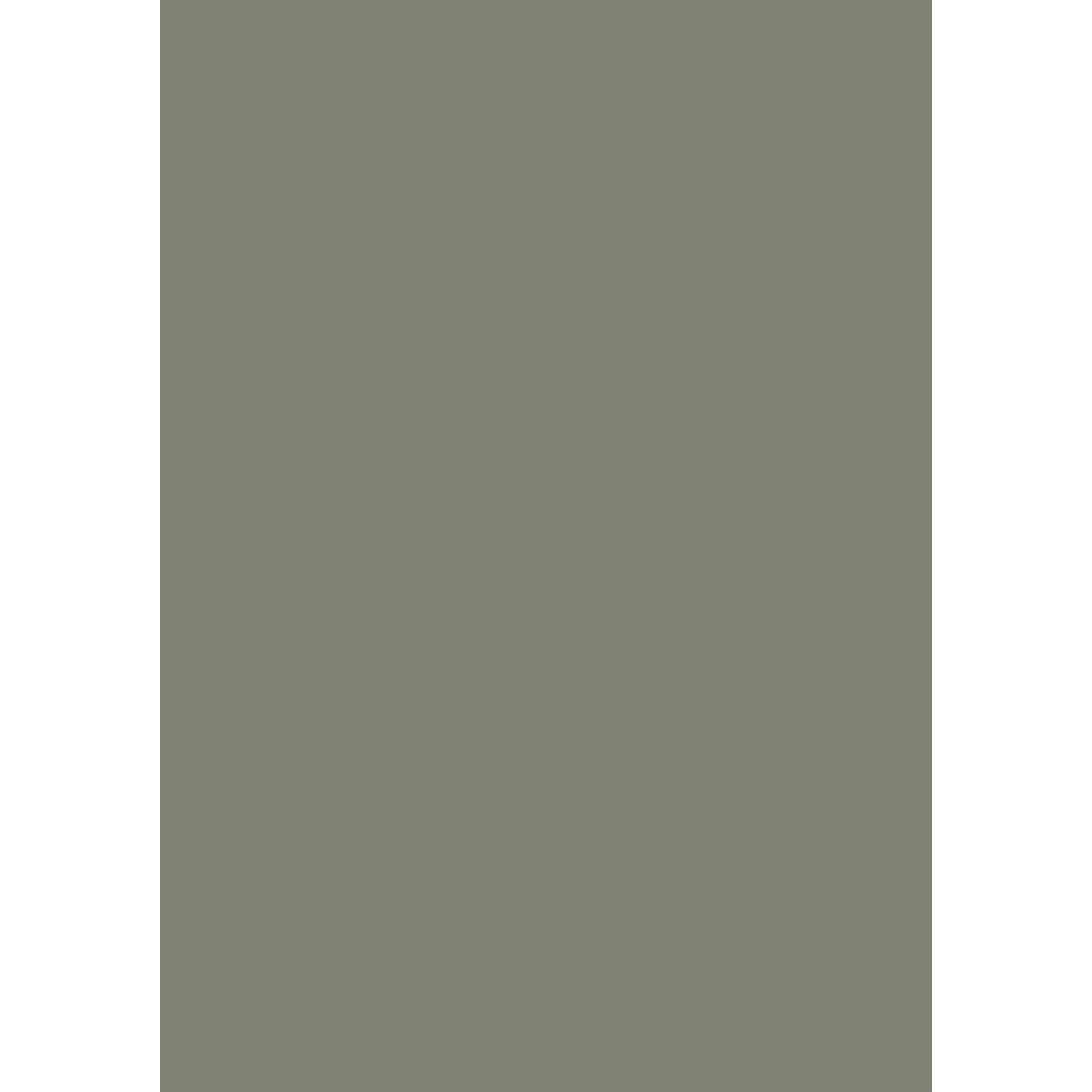 Treron No. 292 peinture Farrow & Ball - Image 3
